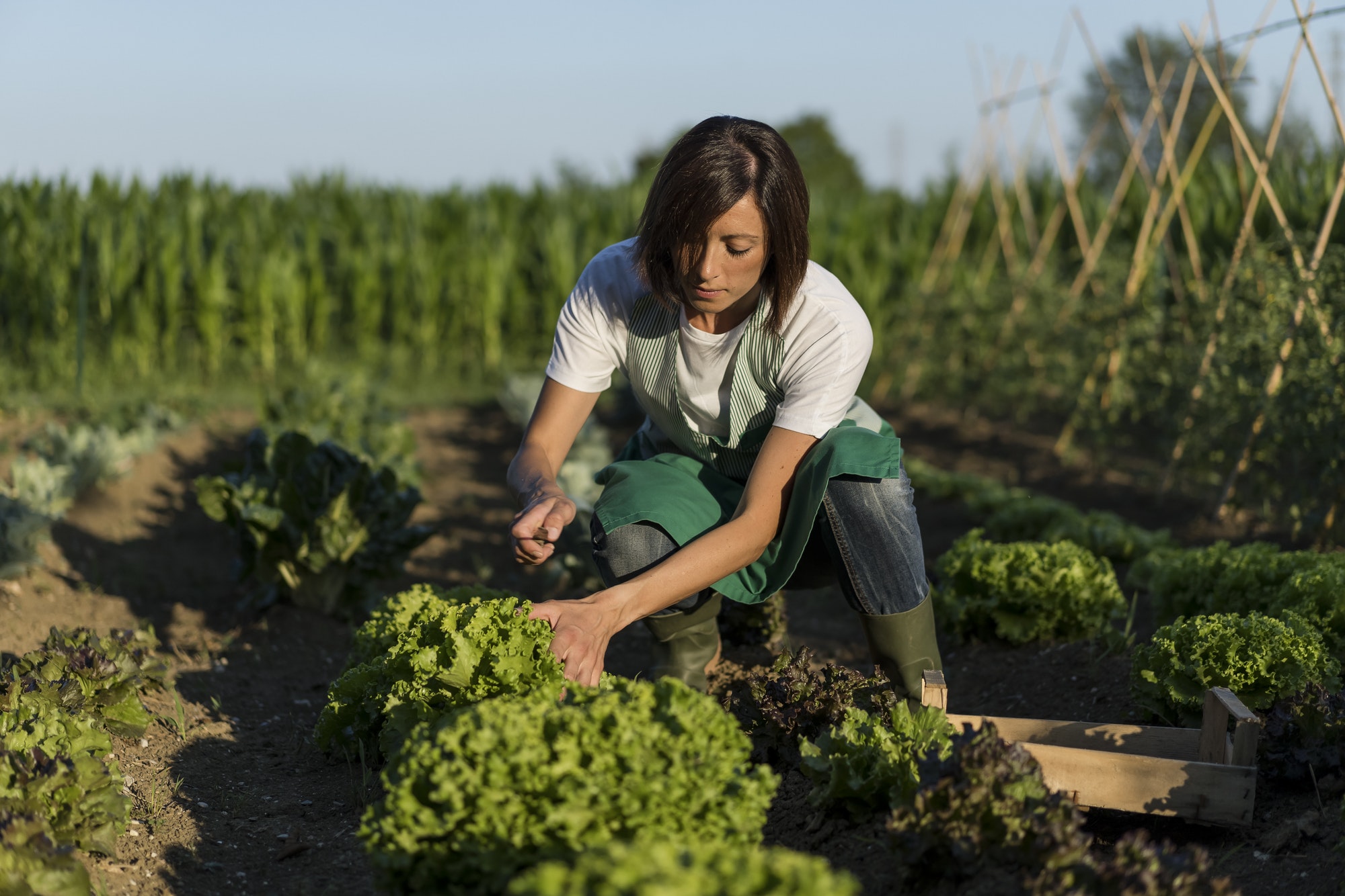 Woman working in her vegetable garden