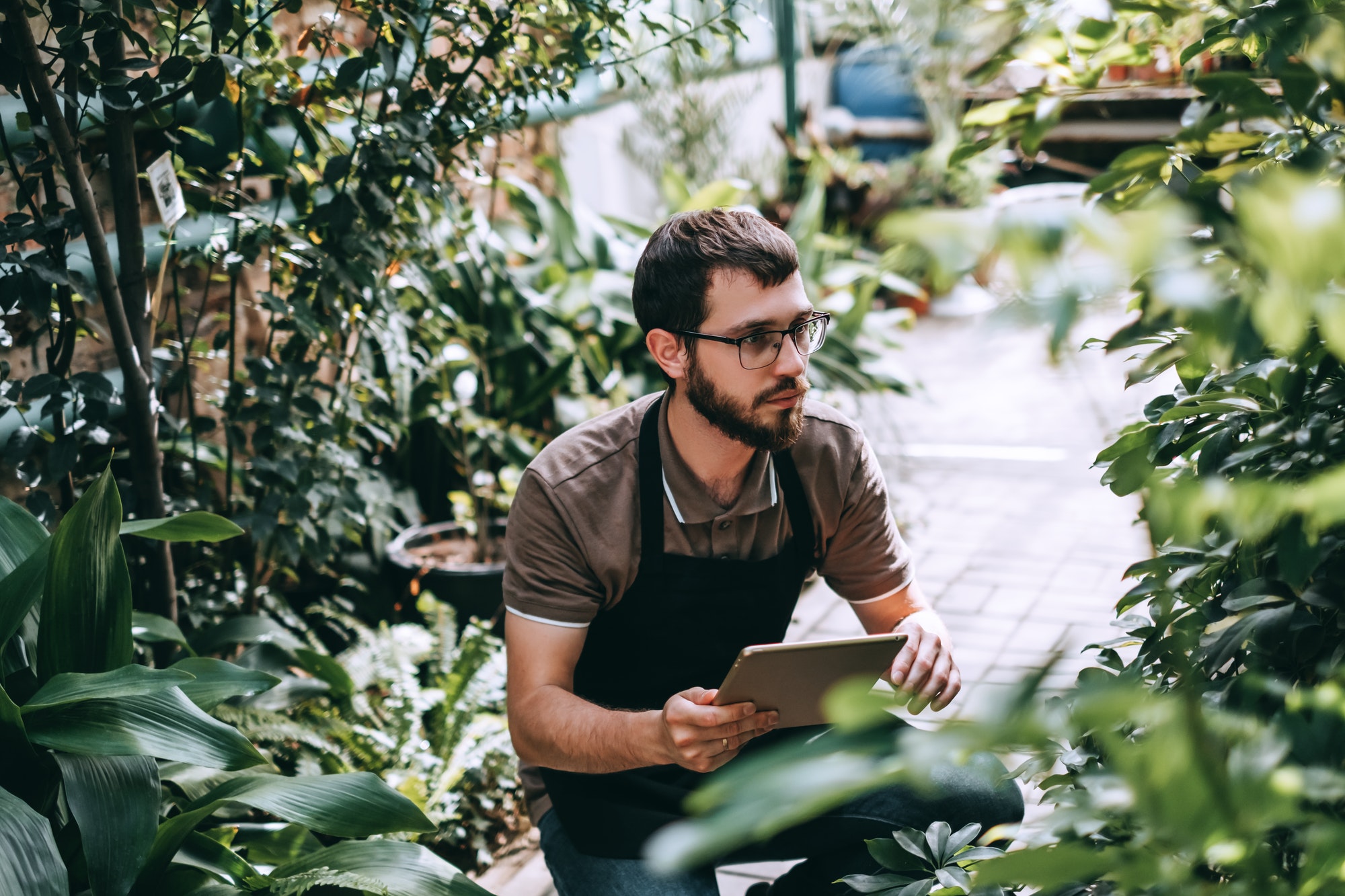 Young man gardener in glasses and apron with digital tablet working in a garden center