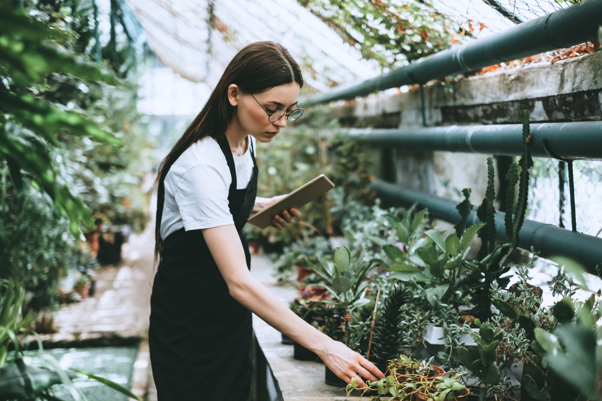 Young woman gardener in glasses and apron with digital tablet working in a garden center