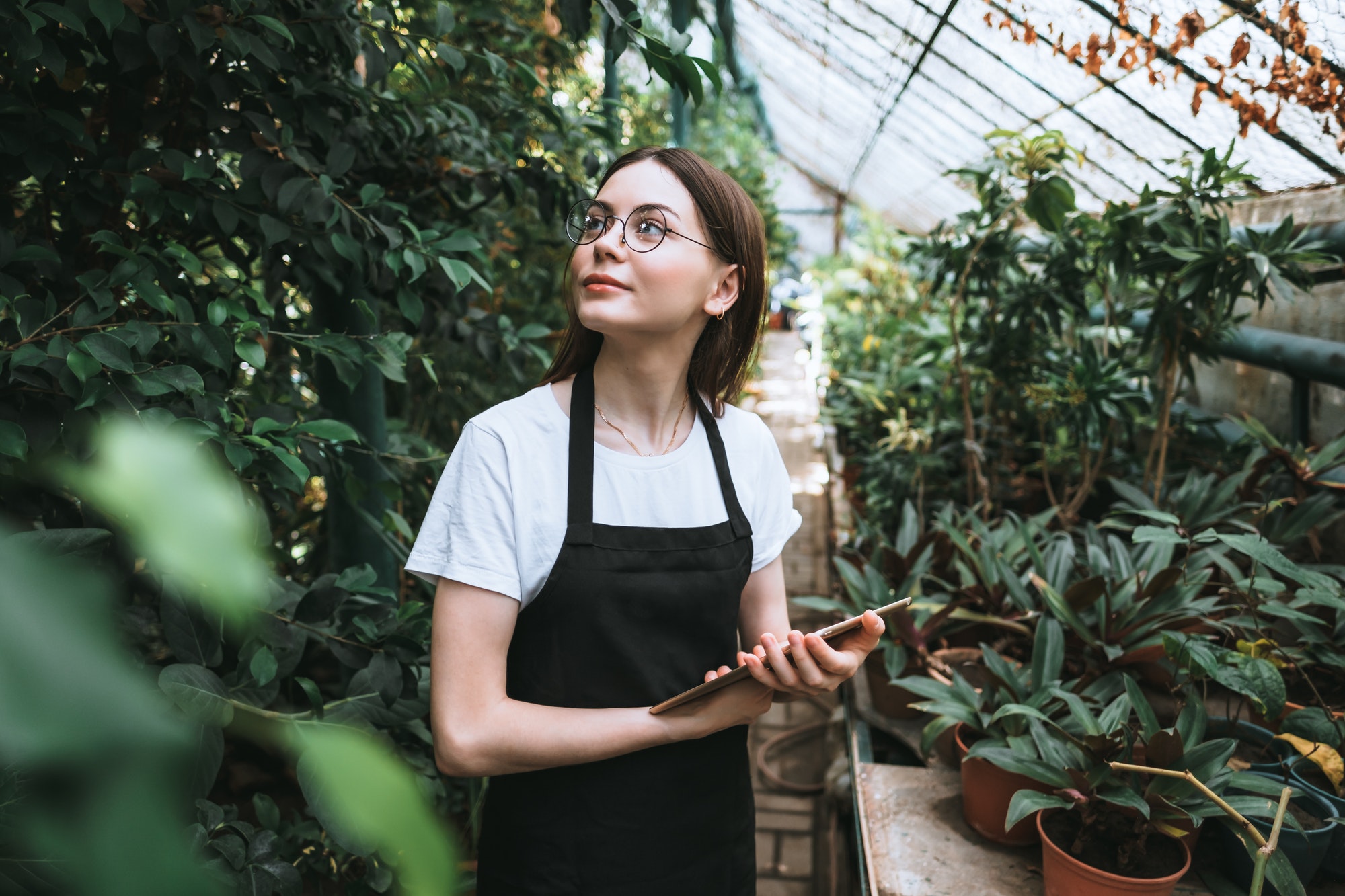 Young woman gardener in glasses and apron with digital tablet working in a garden center