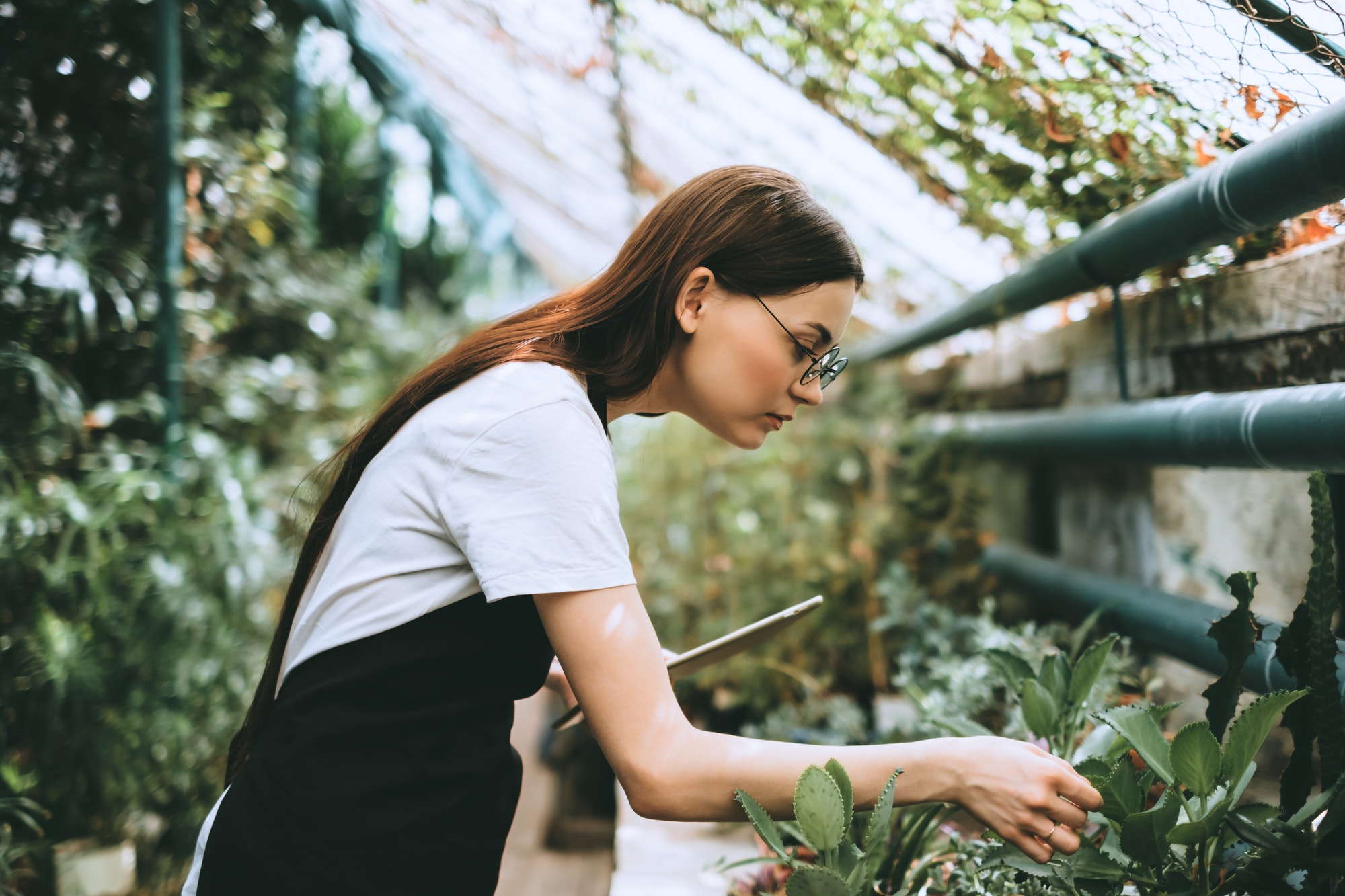 Young woman gardener in glasses and apron with digital tablet working in a garden center